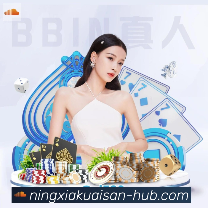 体育数据展示